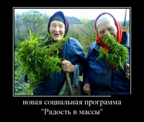 Развлекушки на ночь глядя